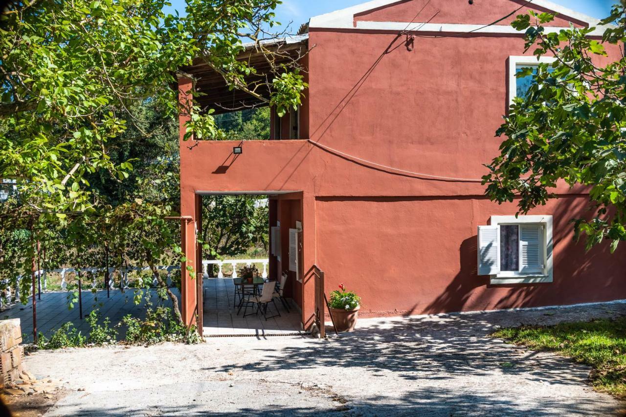 George's House Afra